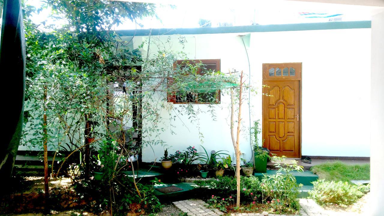 Senasuma Homestay Елла Екстер'єр фото